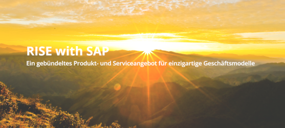 Rise with sap